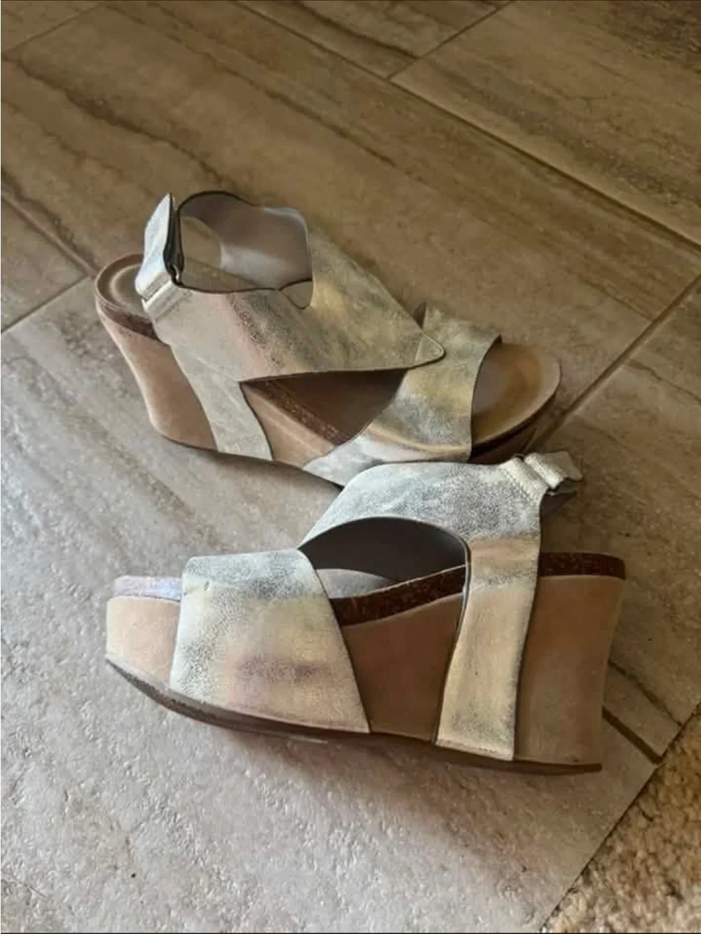 Wedge Sandals in Metallic Beige/silver for Women